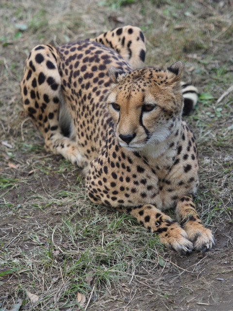 c0186760_11114835.jpg