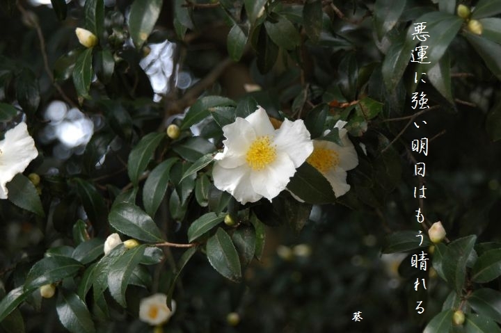 f0379160_10302301.jpg