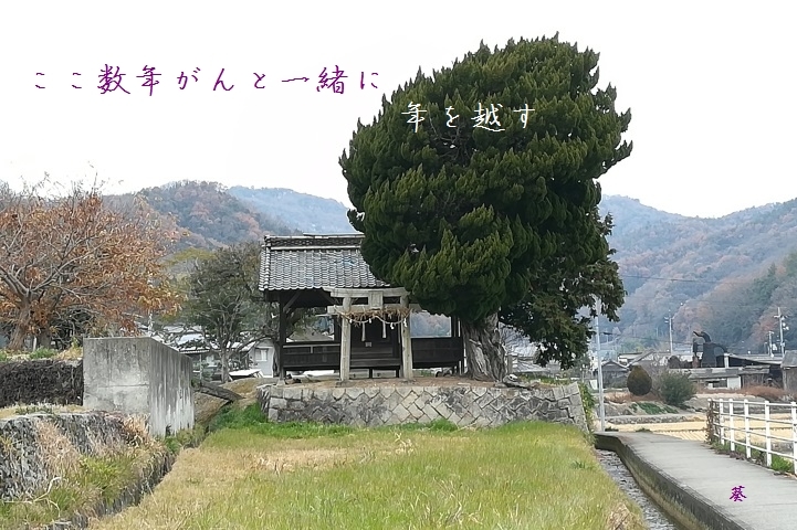 f0379160_10595790.jpg