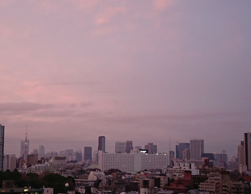 2017年12月31日の夕景_c0100865_16442659.jpg