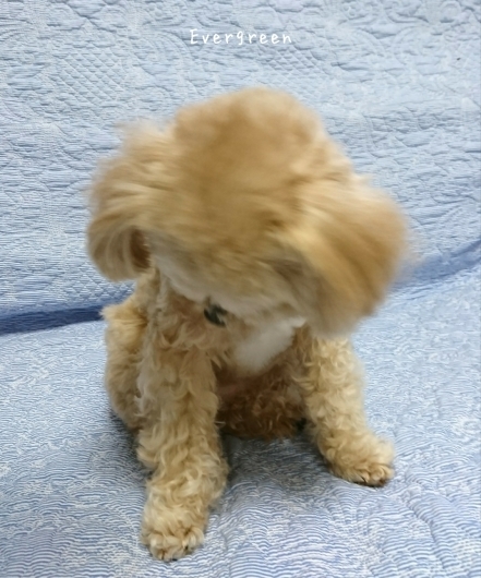 またあした♪_d0362666_19174334.jpg