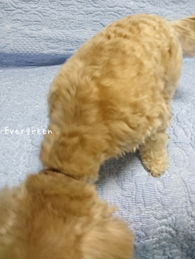 またあした♪_d0362666_19184165.jpg