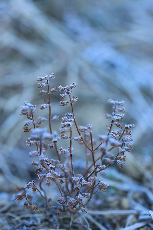e0304170_16540787.jpg