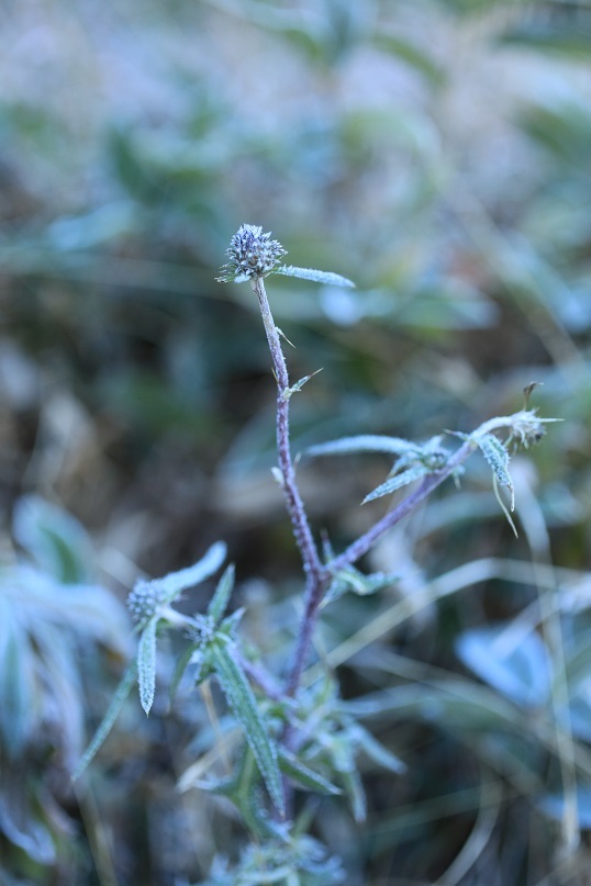e0304170_16544408.jpg
