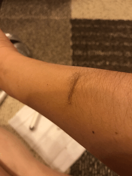 f0219472_20384029.gif