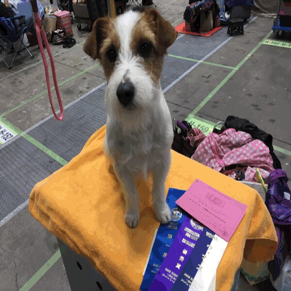 c0120375_22020017.gif