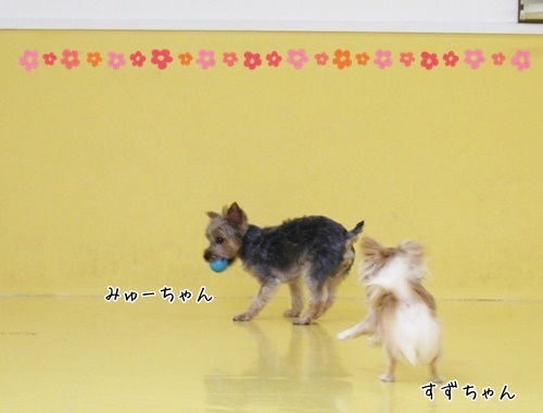 おおみそか!!_f0357682_18395930.jpg