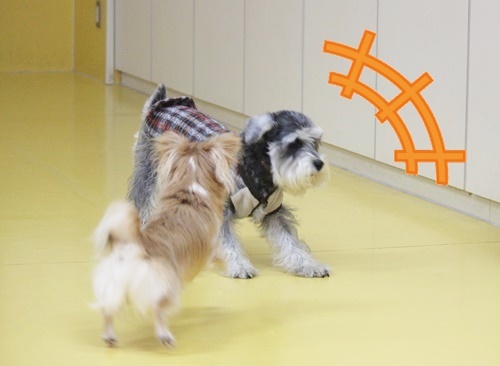 おおみそか!!_f0357682_18412360.jpg