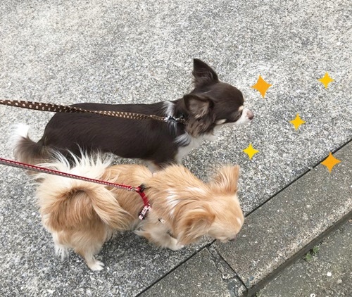 おおみそか!!_f0357682_18521582.jpg