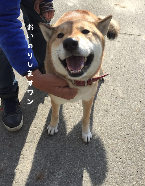 a0216583_11364902.png