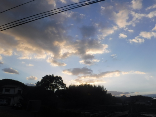 d0195183_20382310.jpeg