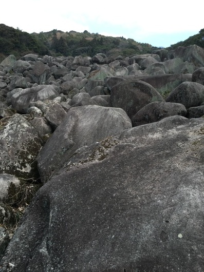 b0336787_00390693.jpeg