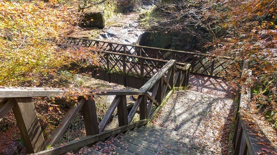 e0176993_07371561.jpg
