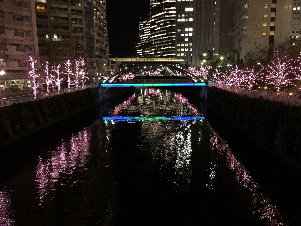 ある風景：Illuminations@Meguro River_f0376697_14181808.jpg