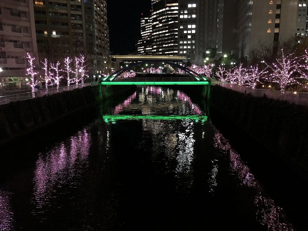 ある風景：Illuminations@Meguro River_f0376697_14181851.jpg