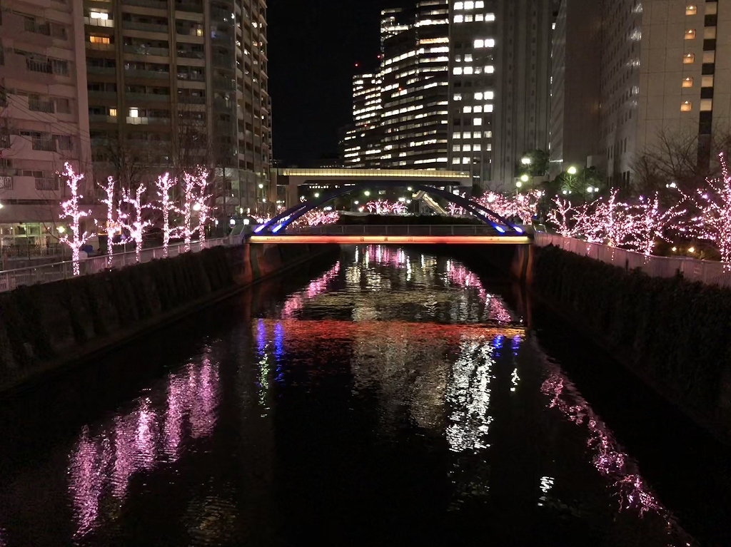 ある風景：Illuminations@Meguro River_f0376697_14184383.jpg