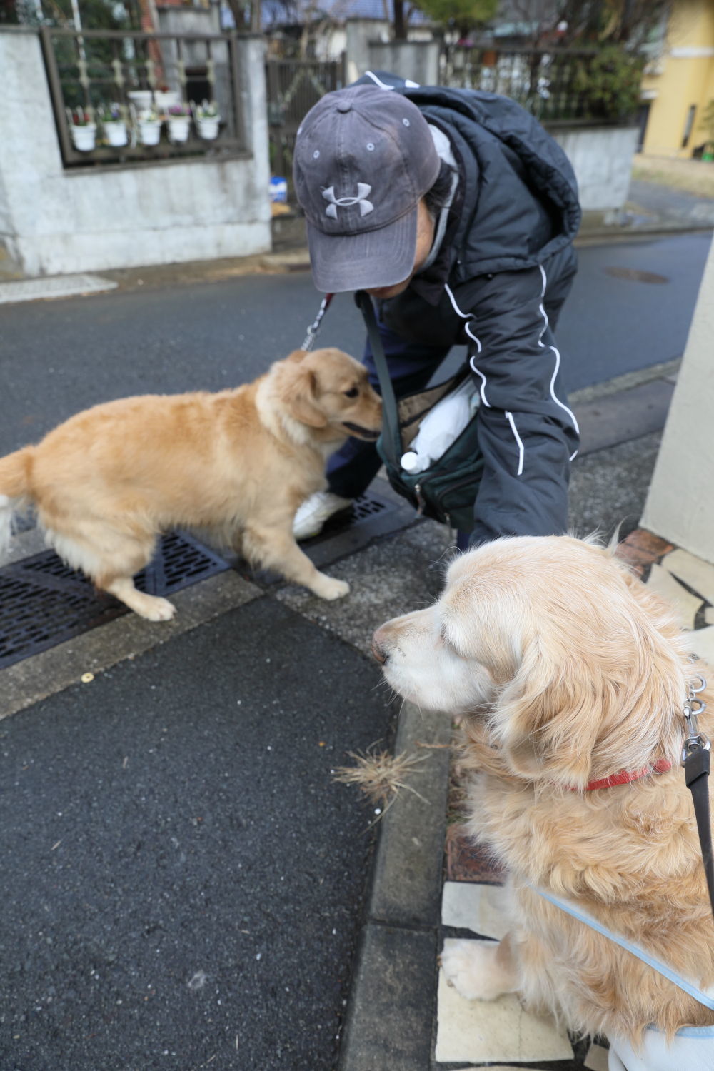 大晦日のプレゼントとお客様♪_b0275998_18590942.jpg