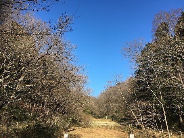 本年もよろしくお願いいたします。_c0124100_15401768.jpg