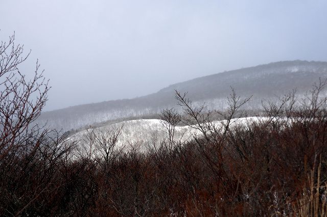 e0137200_18154254.jpg