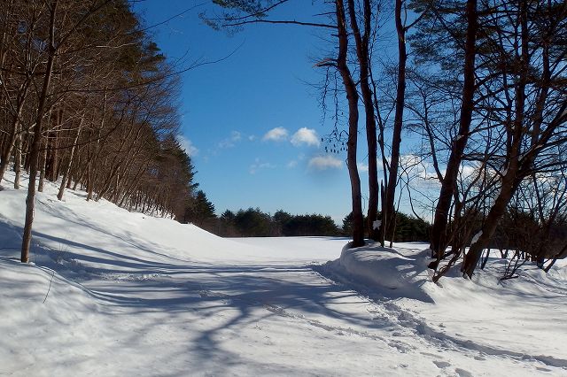 e0137200_18164884.jpg