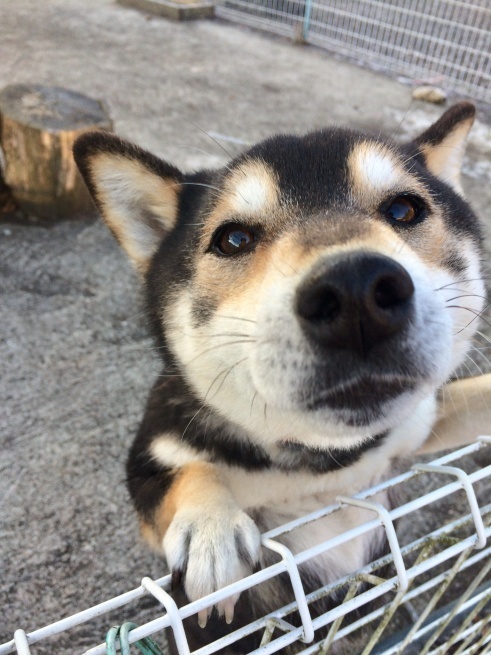 c0362401_22161916.jpeg