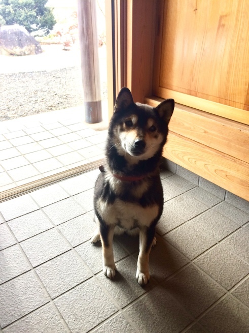 c0362401_22200285.jpeg