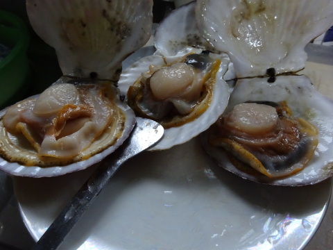 f0231709_19142702.jpg
