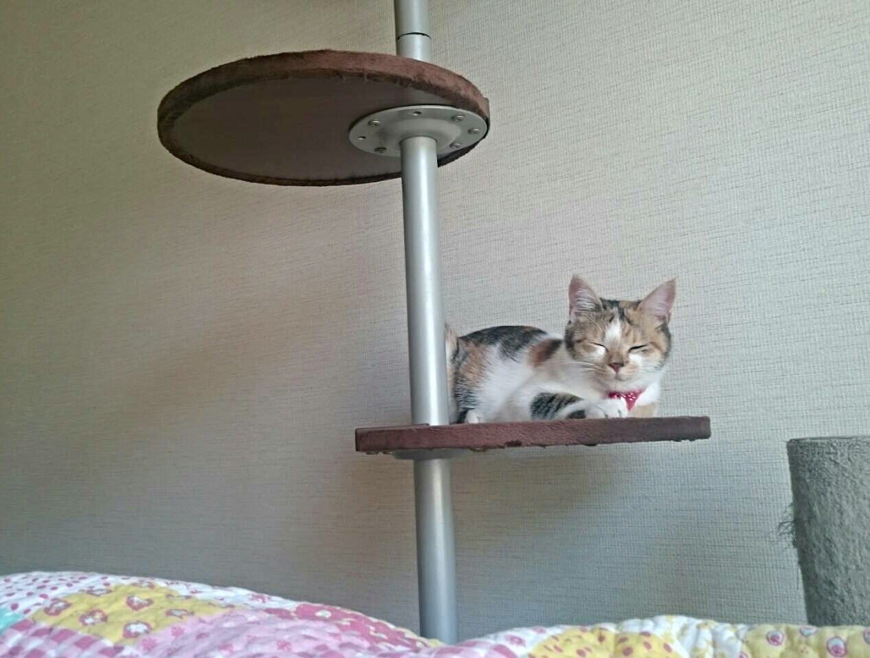 e0144012_01371078.jpeg