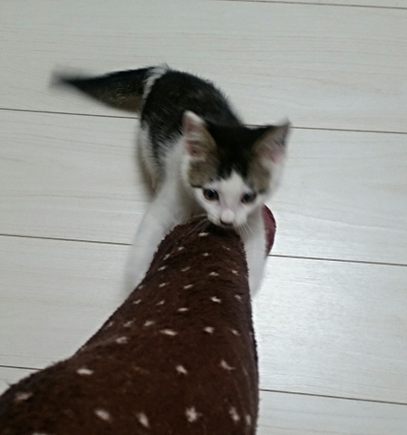 e0144012_01410959.jpeg