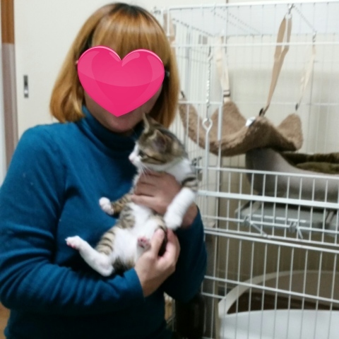e0144012_02124296.jpeg