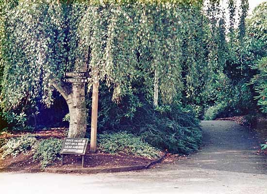 c0009413_17402979.jpg