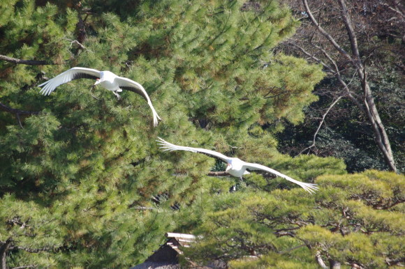 d0341514_22381868.jpg