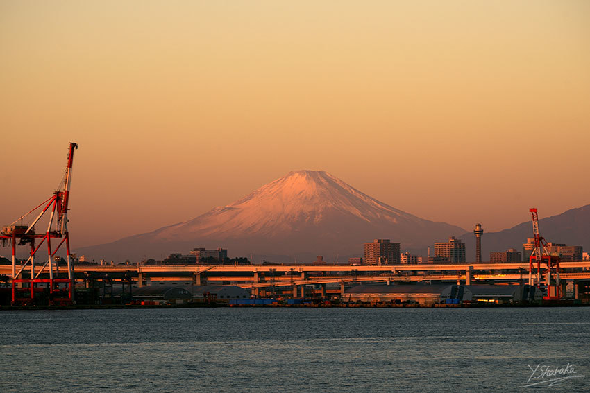 f0344614_09502444.jpg