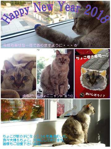 b0290816_12250476.png