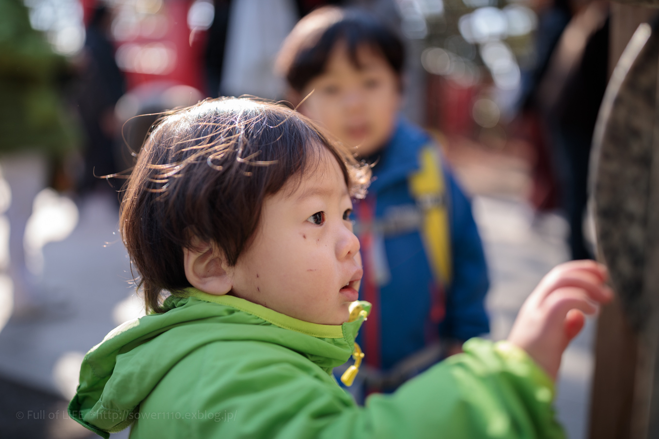 ちびっ子たちの高尾山デビュー　Part3_c0369219_15162941.jpg