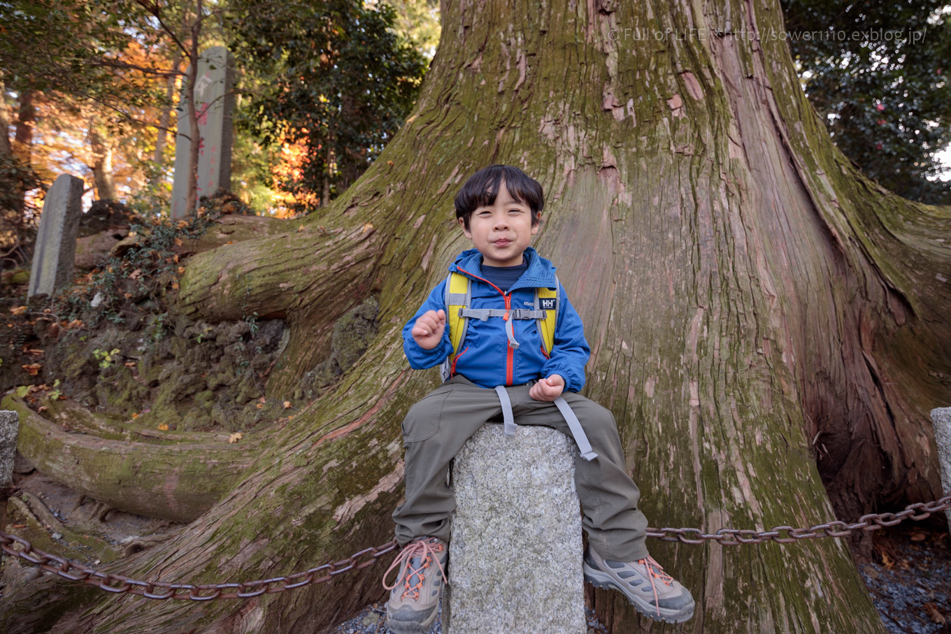 ちびっ子たちの高尾山デビュー　Part3_c0369219_15293077.jpg