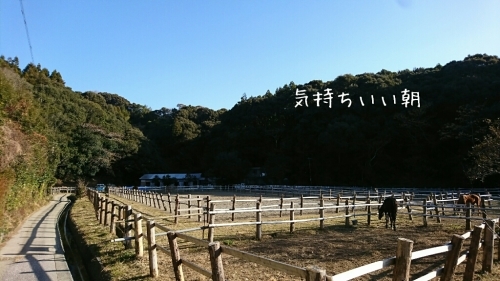 b0187620_20284883.jpg