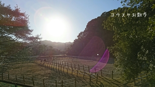 b0187620_20302404.jpg