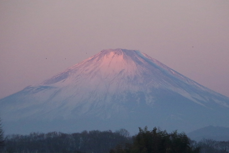 d0240223_18570022.jpg