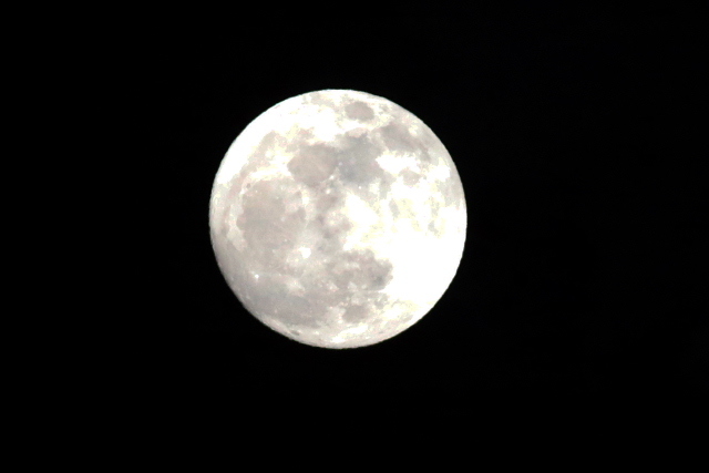 d0240223_18572040.jpg