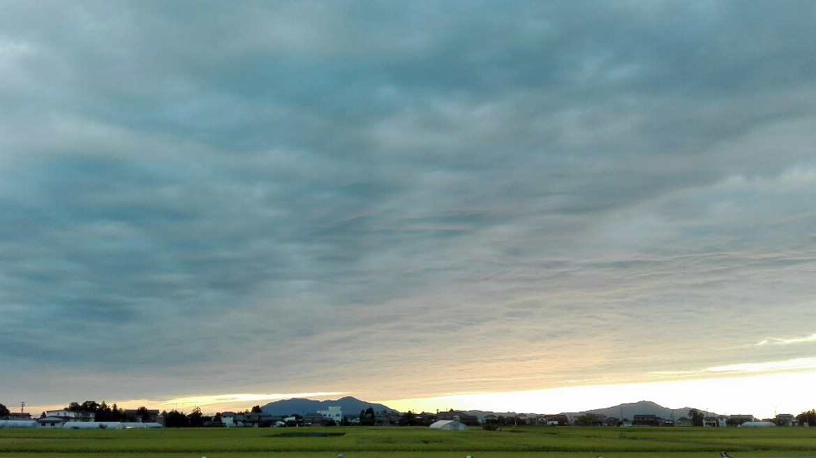 b0187331_14310592.jpg