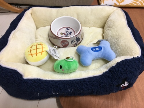 b0113232_23334902.jpeg