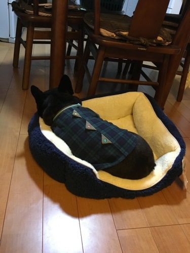 b0113232_23340847.jpeg