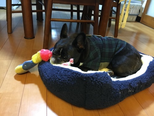 b0113232_23343153.jpeg