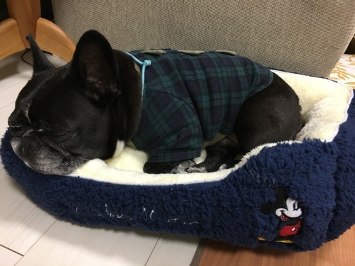 b0113232_23351294.jpeg