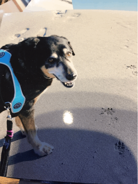 a0240233_20060210.gif