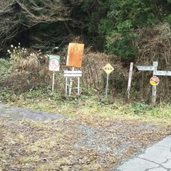 c0077338_16420698.jpg