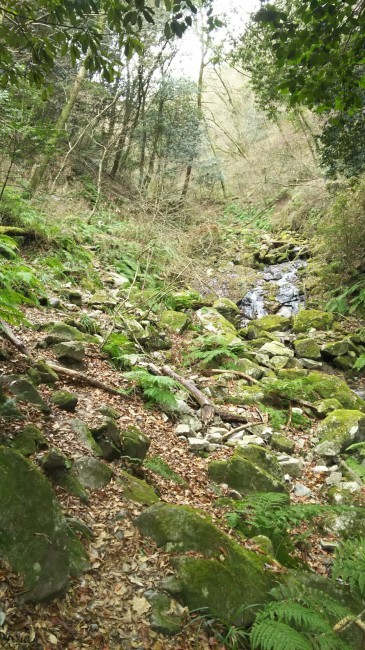 c0077338_16424876.jpg
