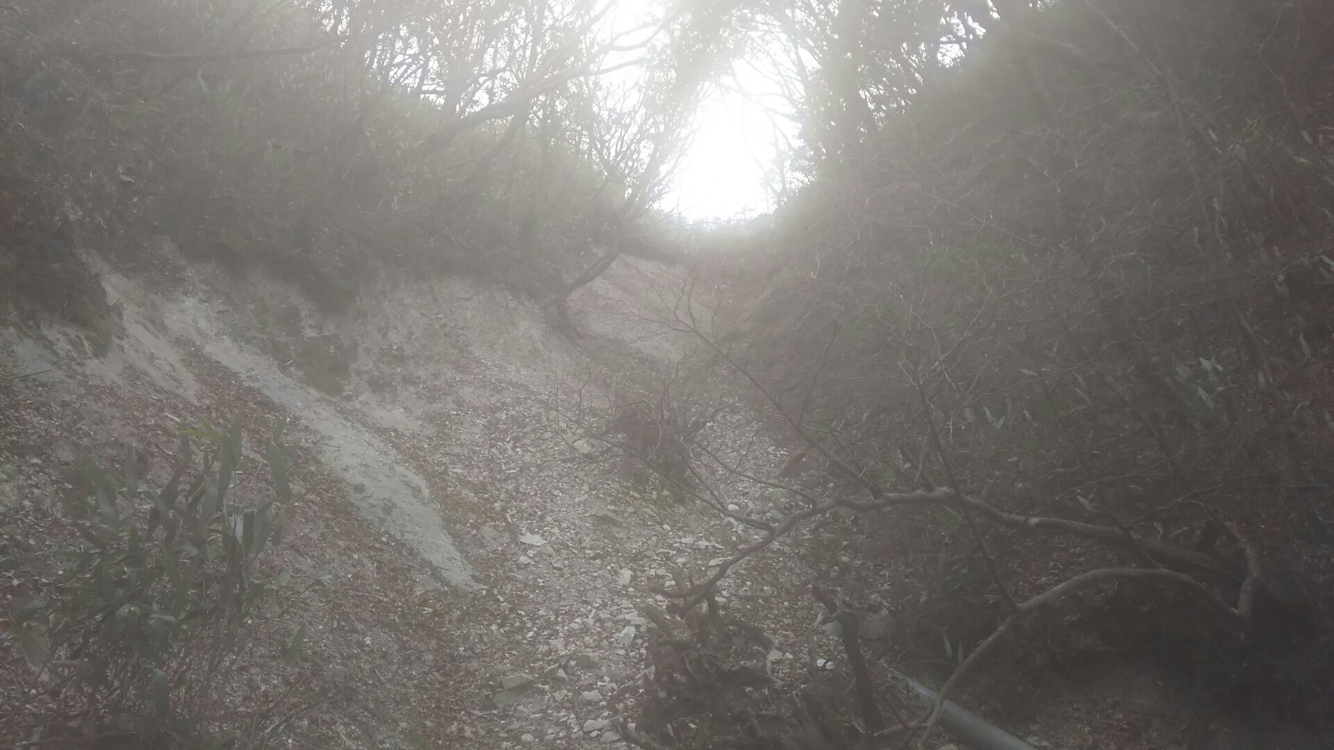 c0077338_16430932.jpg