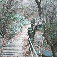 c0077338_16434602.jpg